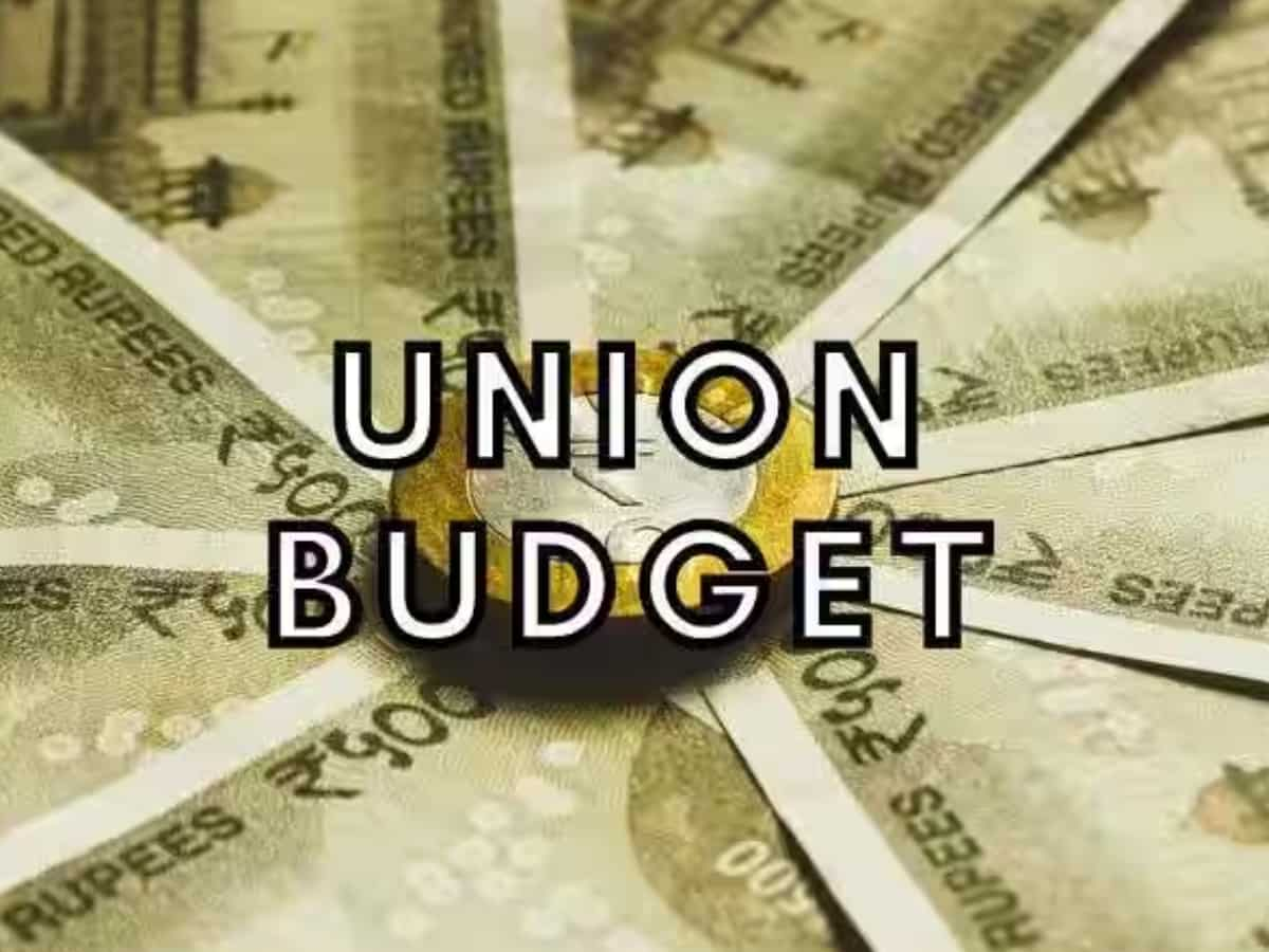 Budget 2024-25: Finance Minister's vision boosts infrastructure and tourism, but leaves hospitality sector wanting more