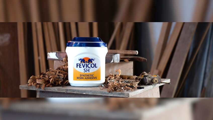 Pidilite shares set to trade ex-dividend today; Fevicol maker scheduled to report results on August 7