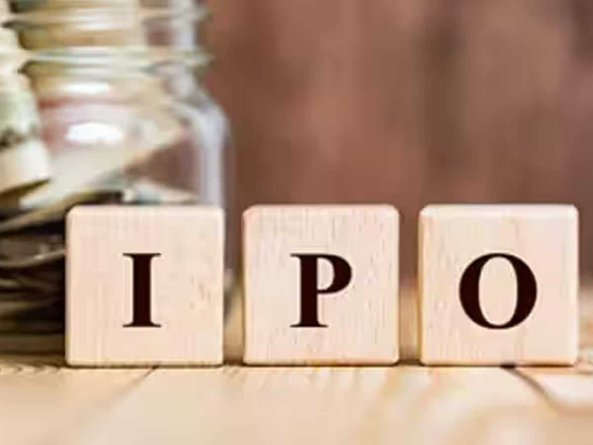 Sanstar IPO Allotment: Check status online using PAN on BSE, LINKIntime - Details