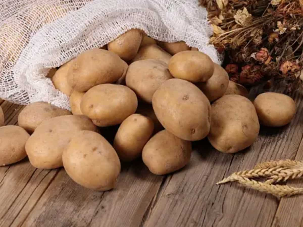 Potato dispatches from cold storages surge by 35% day after traders withdraw strike