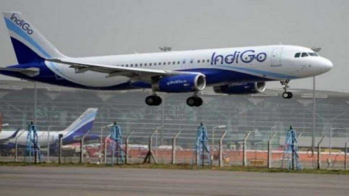 IndiGo Q1 FY25 Results: InterGlobe Aviation net profit jumps 44% to Rs 2,729 crore, beats Street estimates