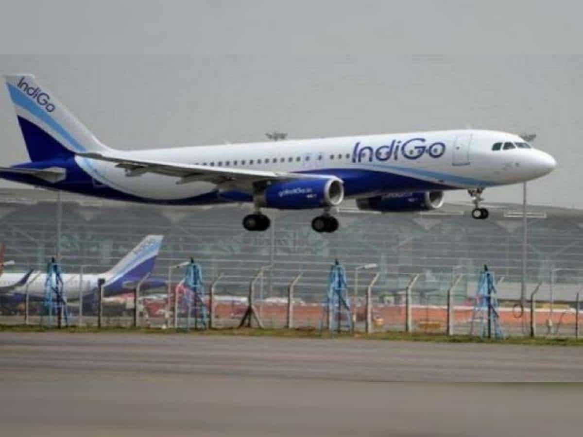 IndiGo Q1 FY25 Results: InterGlobe Aviation net profit jumps 44% to Rs 2,729 crore, beats Street estimates