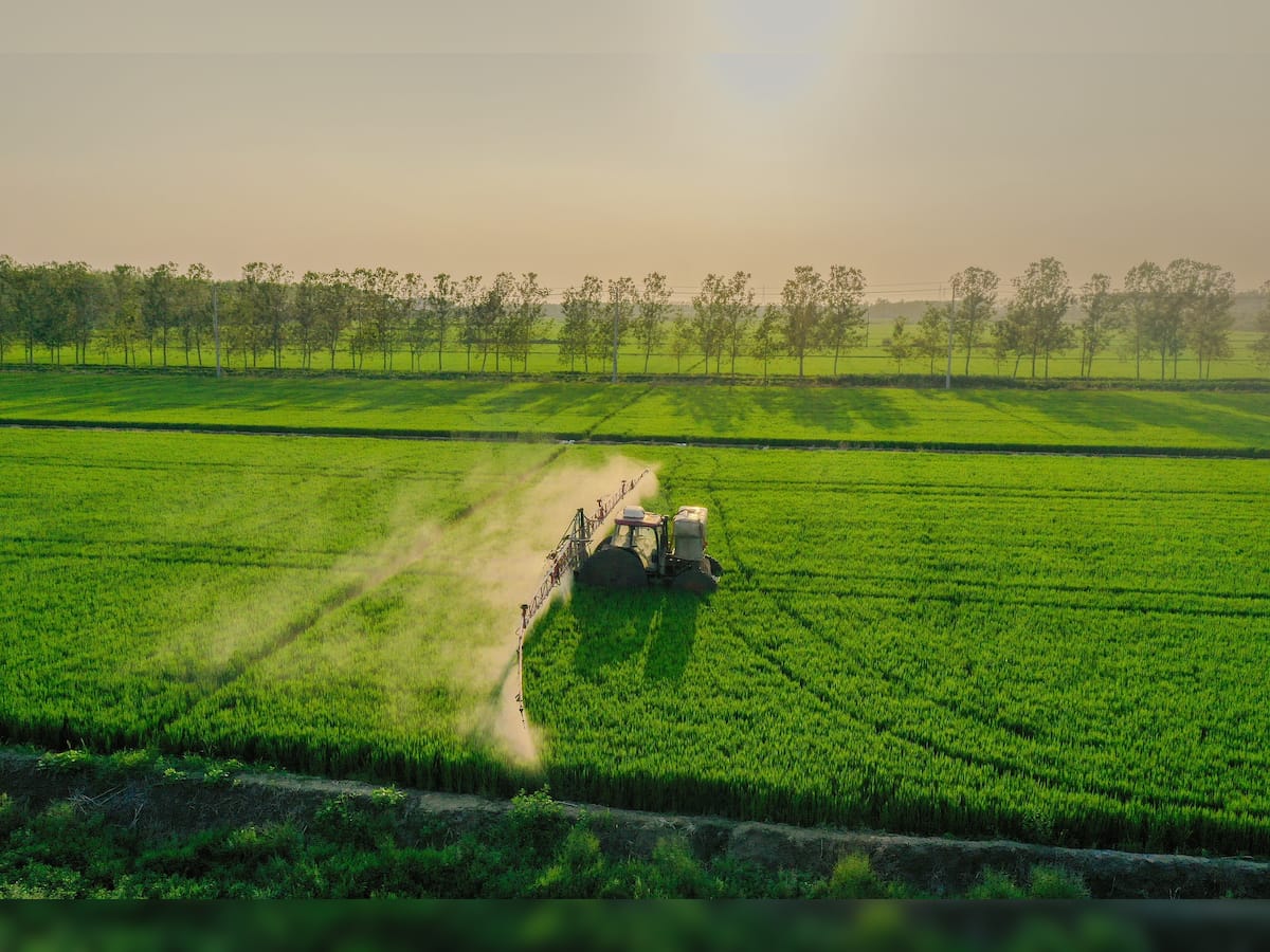 86% of Jharkhand's arable land for paddy cultivation lying fallow due to scanty rainfall