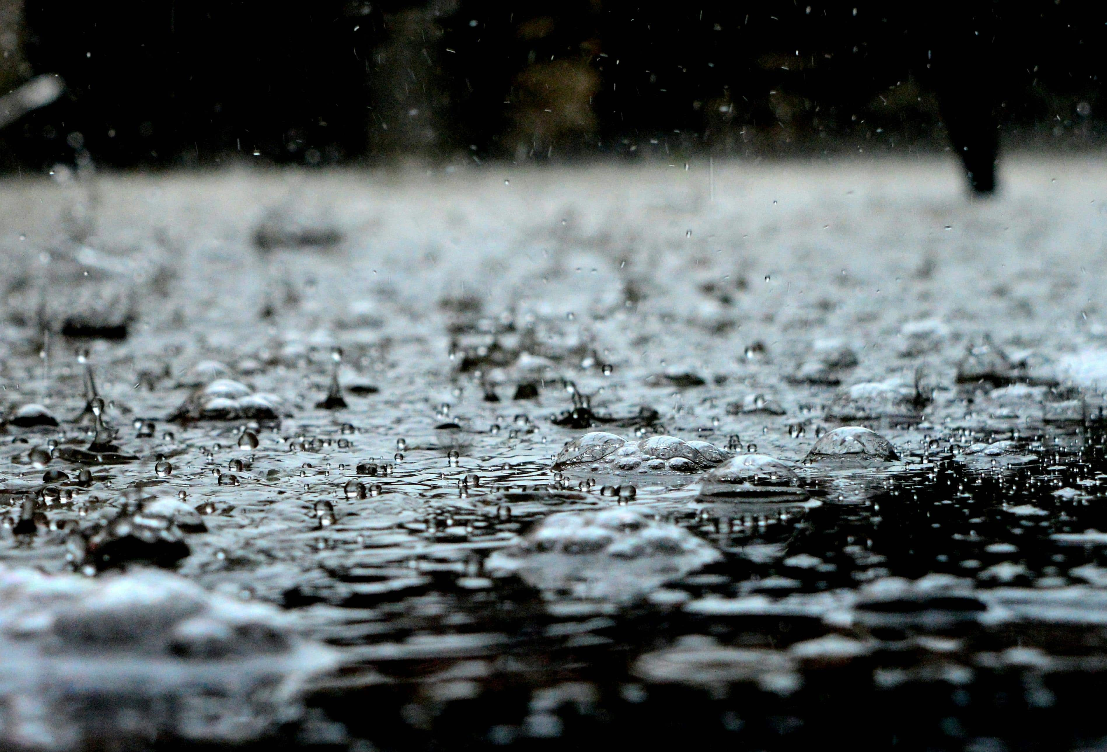 MONSOON RAINS WEATHER UPDATE | These regions in Odisha get 'very heavy' rainfall