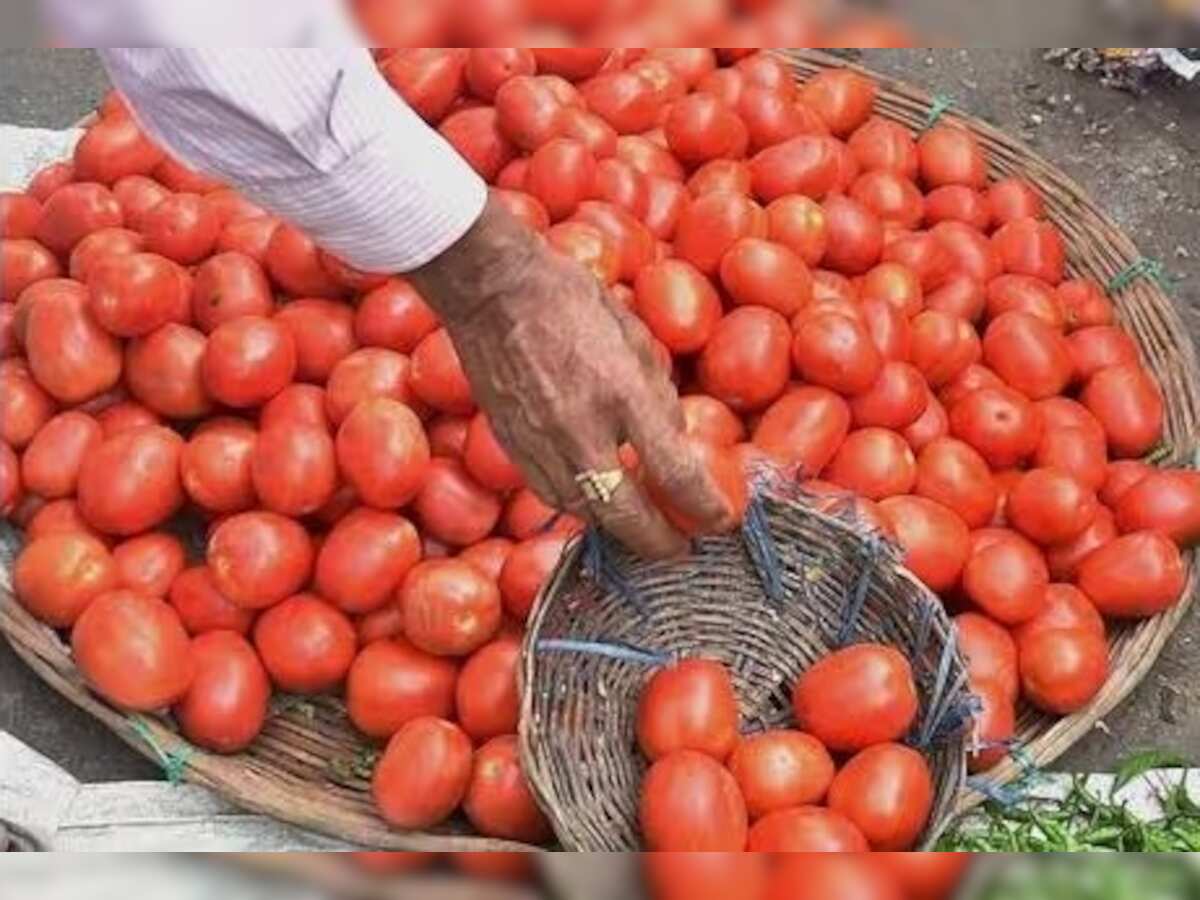 Tomato Sale at Rs 60/kg: Centre sells kitchen staple at subsidised rates in this city