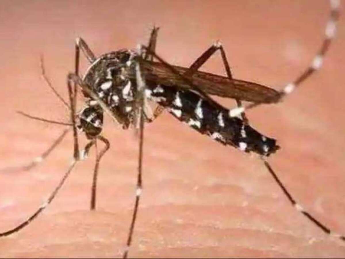 13 cases of Zika virus infection till Jul 22 this year: RS member Anupriya Patel 