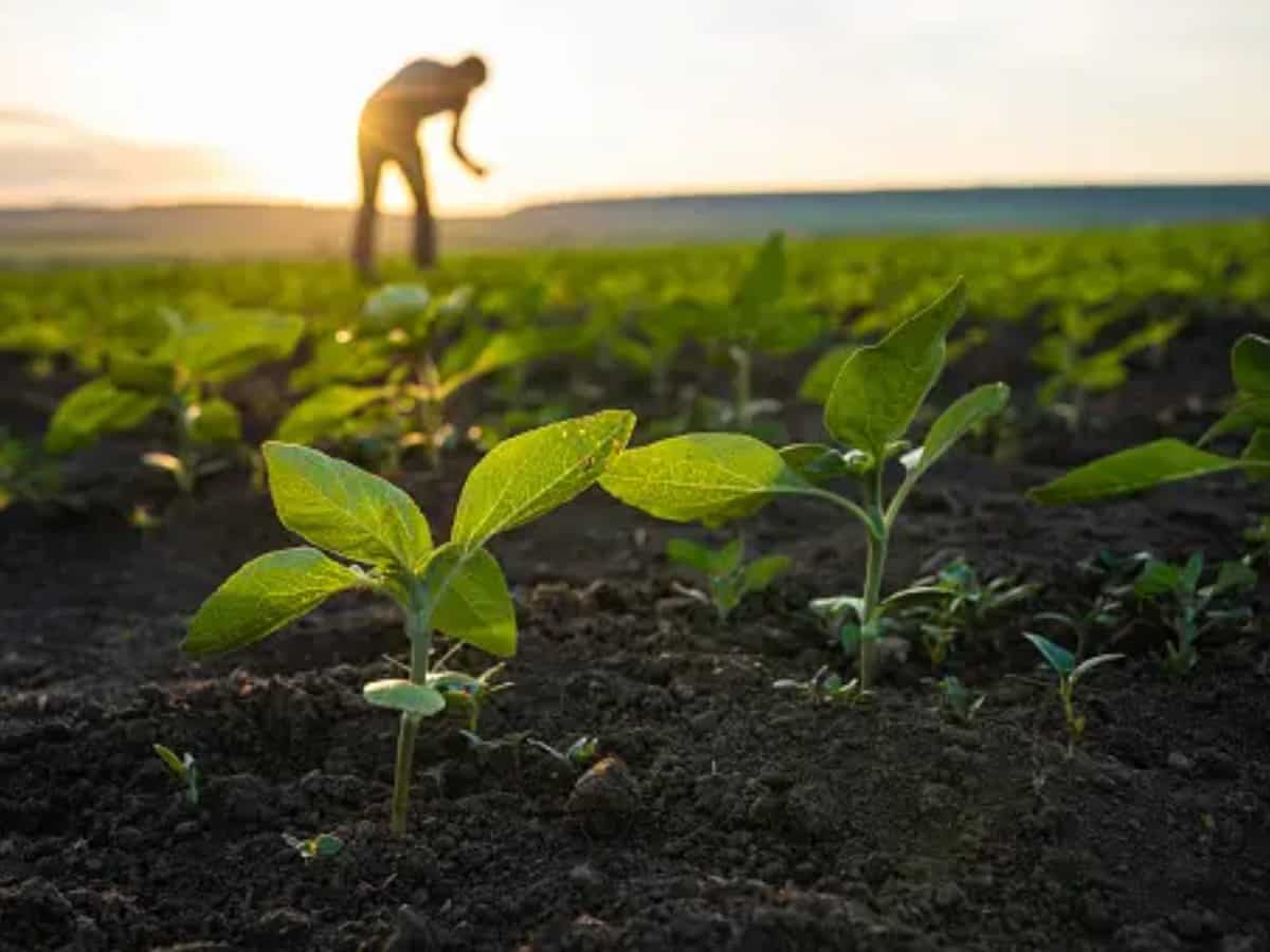 Agricultural Income