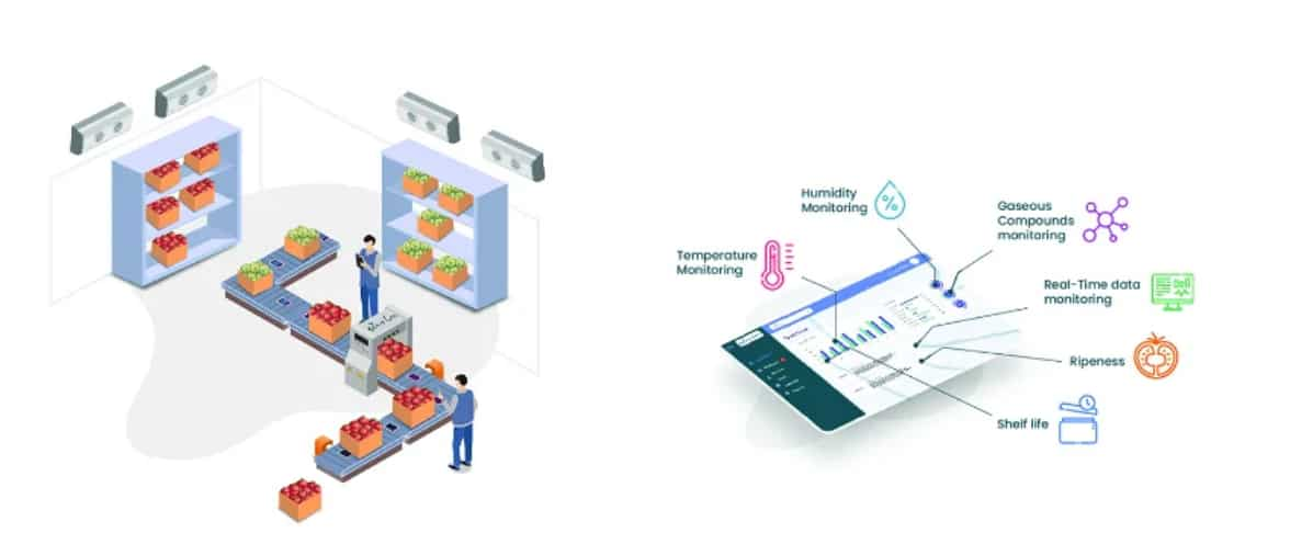 4- Qzense Labs