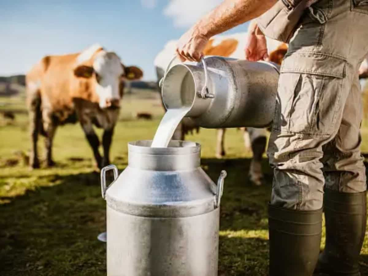 Dairy industry to witness 13-14% revenue growth this fiscal: Report