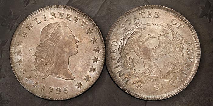 Flowing Hair Silver Copper Dollar