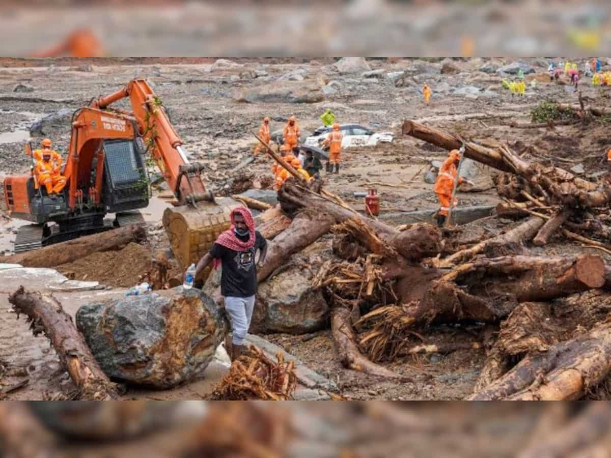 Finmin asks insurers to speedily disburse claim amount to victims of Wayanad landslide