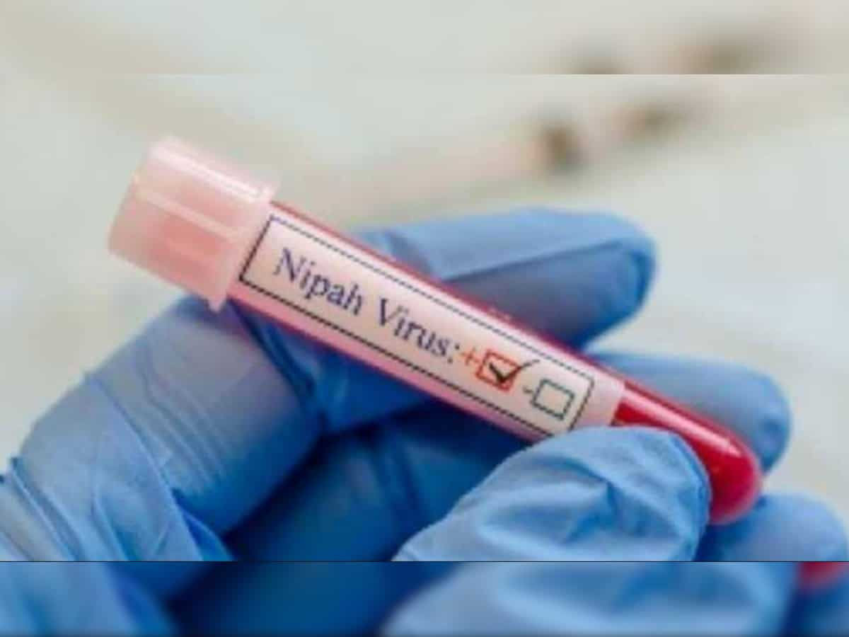 Nipah virus detected in bat samples from Kerala's Malappuram district 