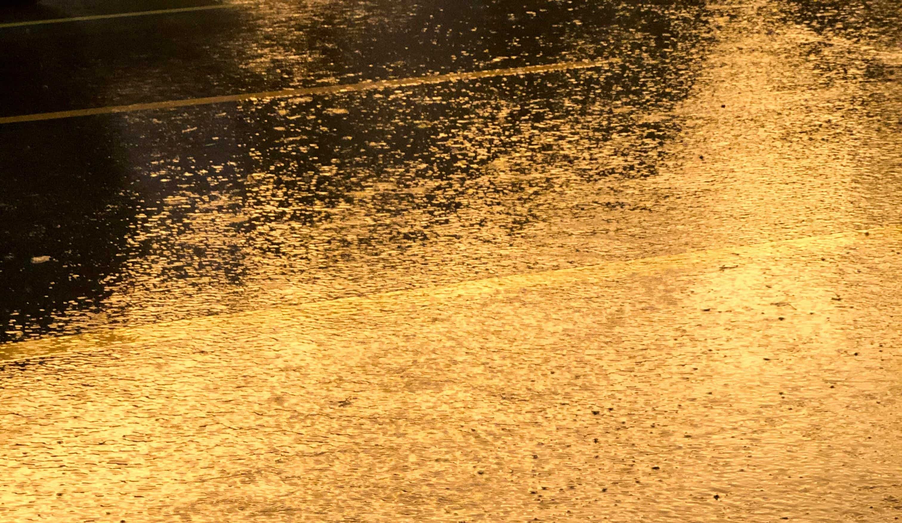 Rajasthan Rains Update: Heavy showers recorded in Tonk, Pali, Bundi, Bhilwar districts; see latest IMD data