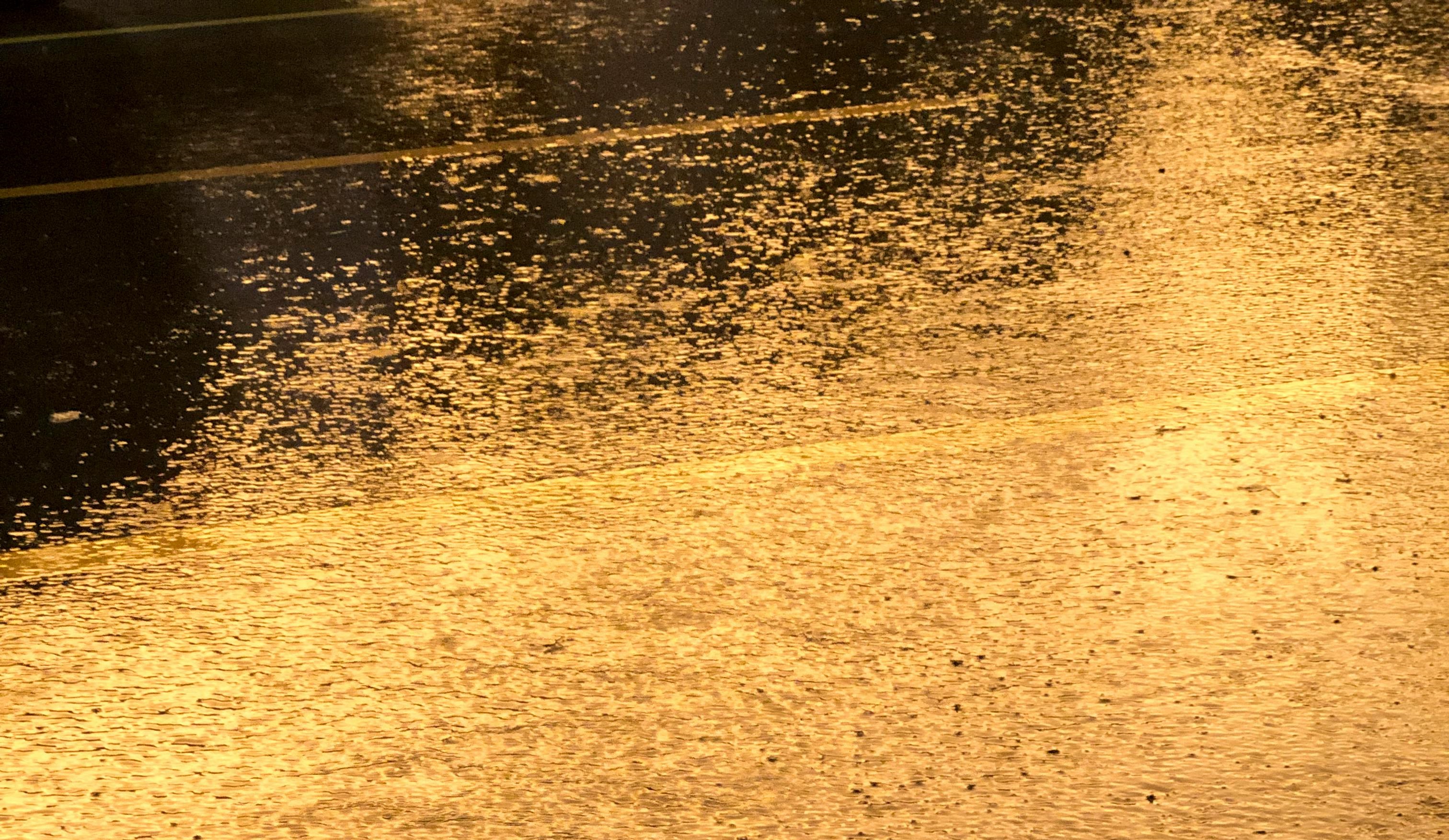 Rajasthan Rains Update: Heavy showers recorded in Tonk, Pali, Bundi, Bhilwar districts; see latest IMD data