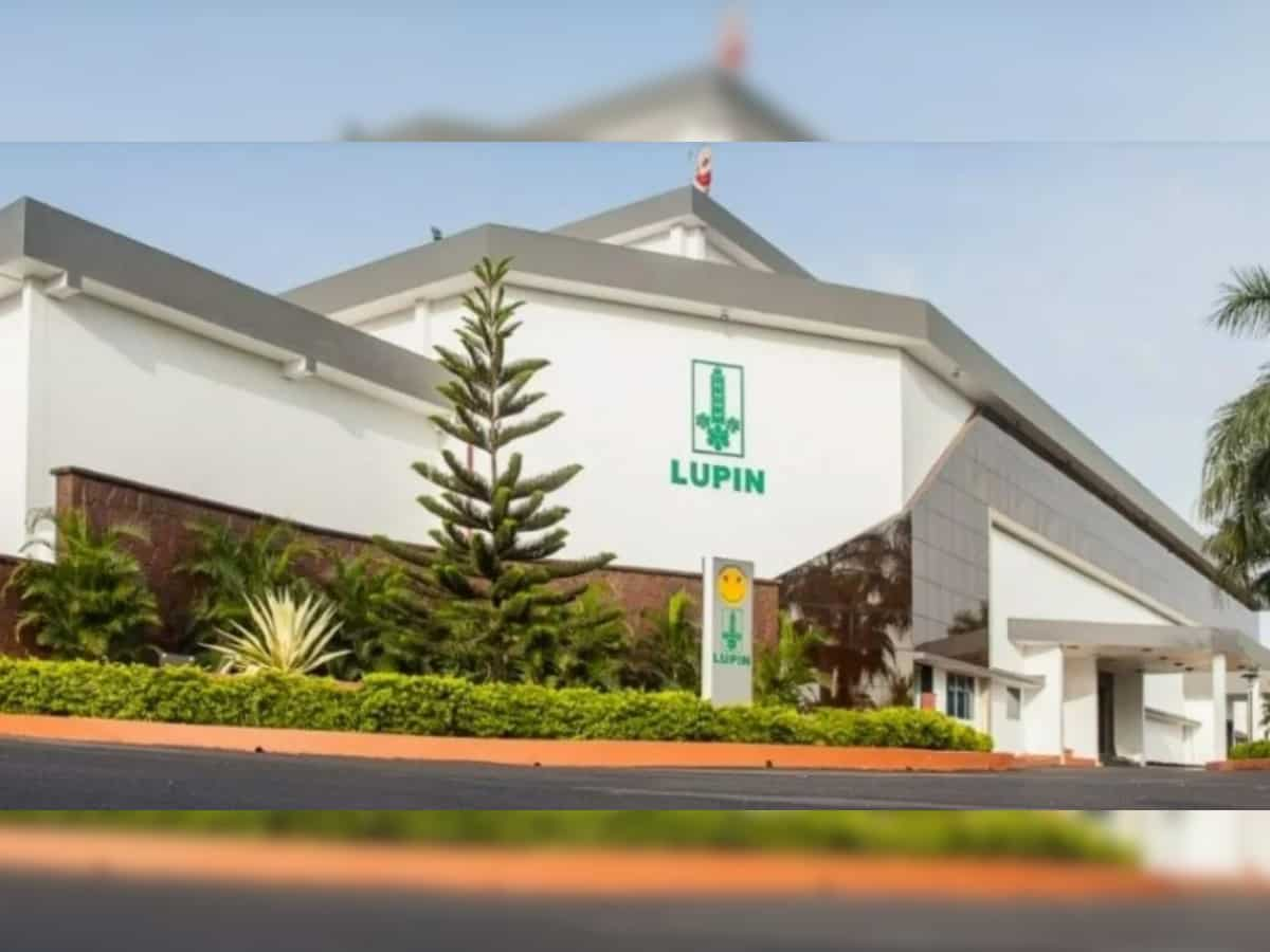 Lupin shares jump 6%, hit 52-week high amid strong Q1FY25 earnings