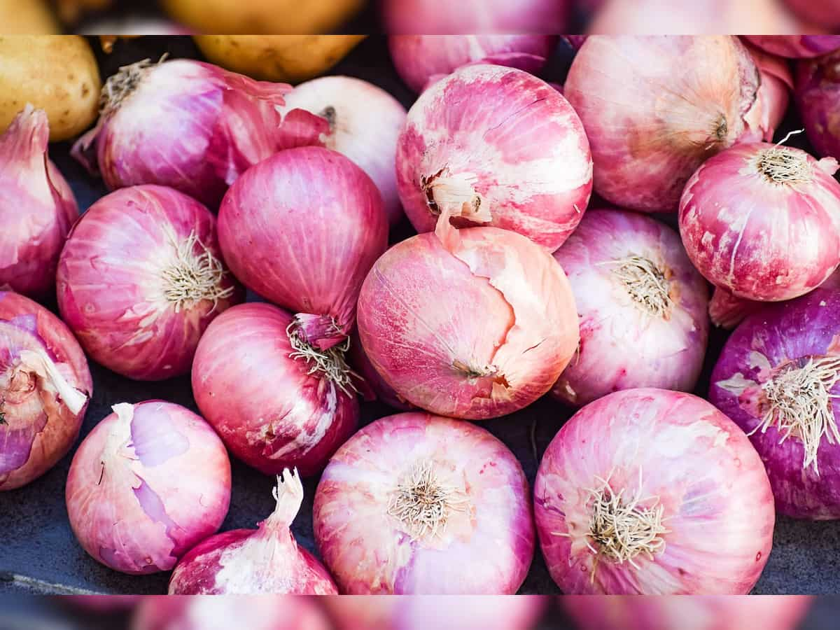 India's onion exports touch 2.6 lakh tons mark in April-July