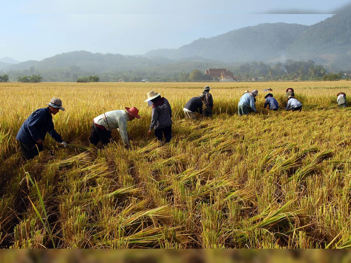 PM Narendra Modi to release 109 high yielding, climate resilient varieties of crops