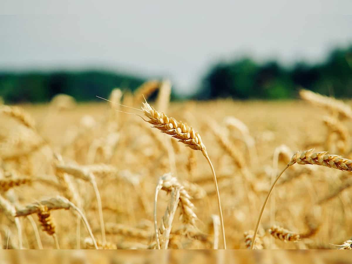 Significant milestones expected as farmers adopt natural farming: PM Modi