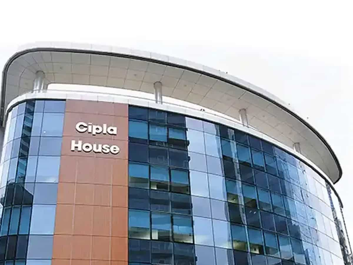 Cipla share price target