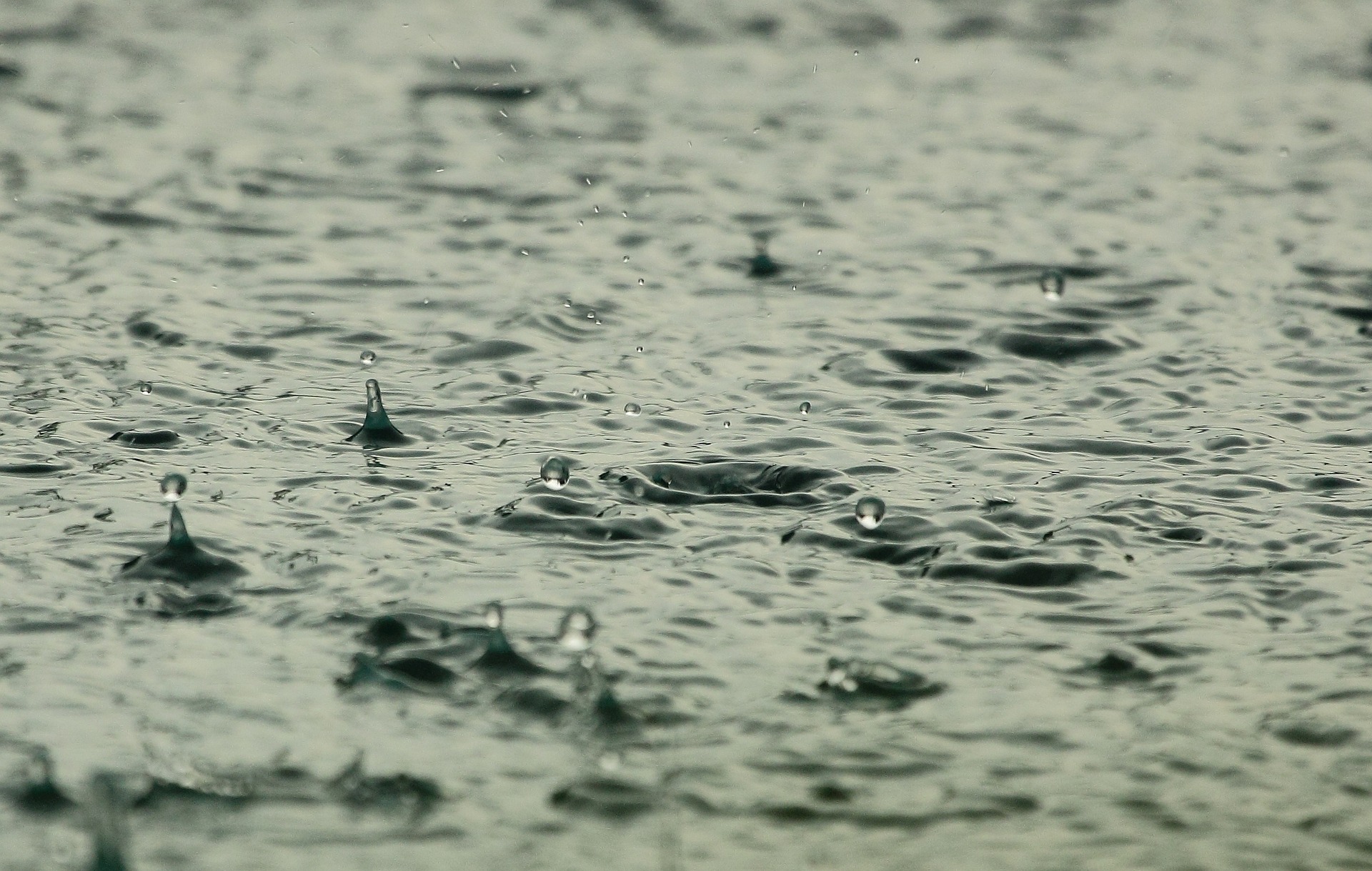 Heavy rains accompanied by thunderstorms lash parts of Kerala