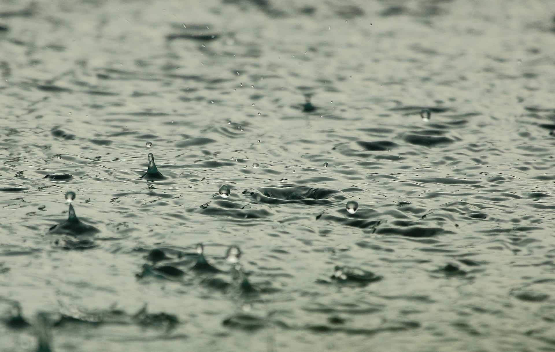 Heavy rainfall to continue in Odisha for another three days: IMD