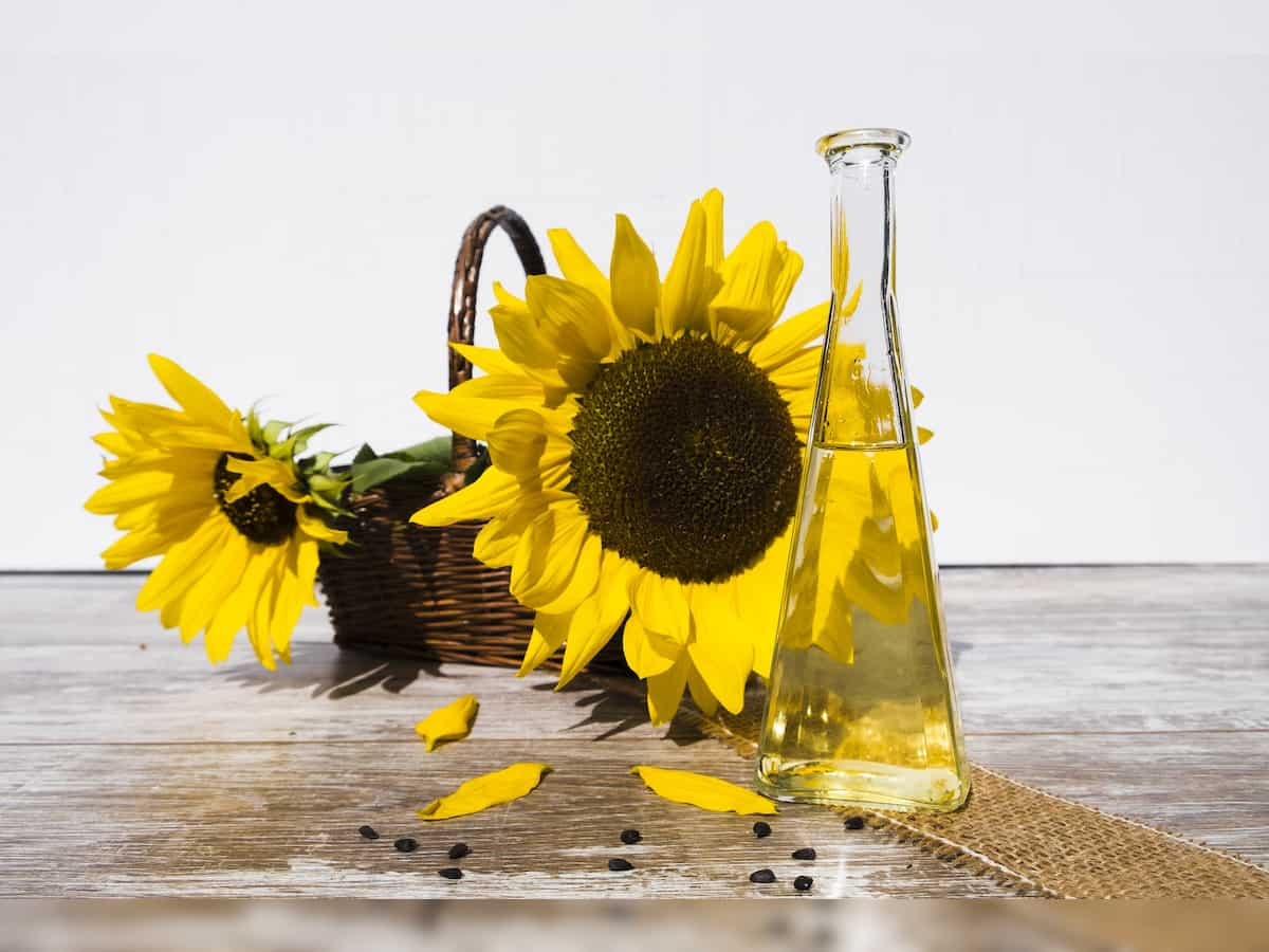 Crude sunflower oil futures rise on high demand