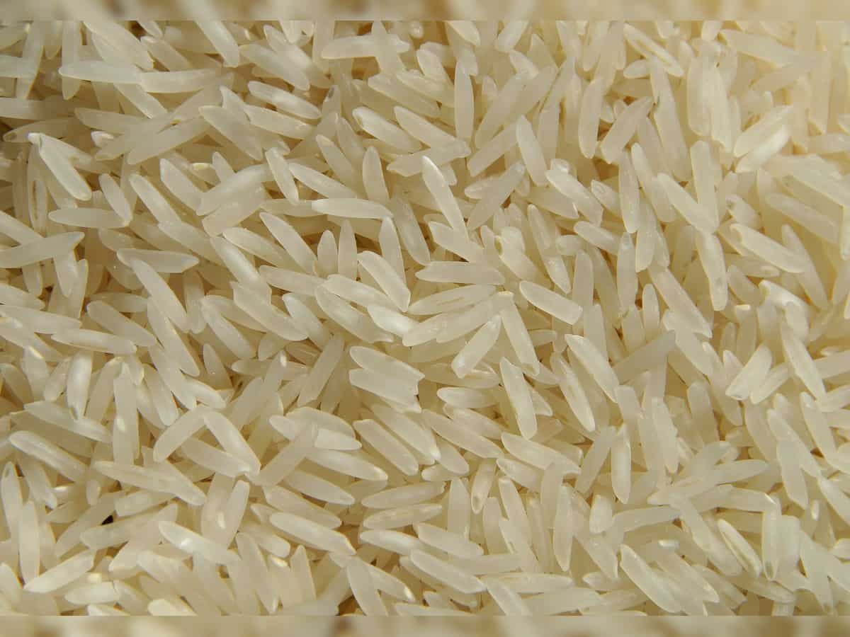 India allows export of 200,000 tonne non-basmati rice to Malaysia