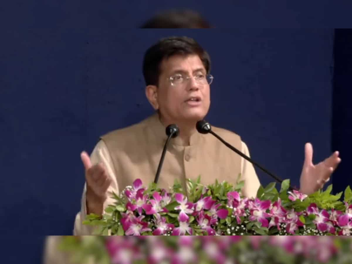 E-commerce eating up small shopkeepers' share in high-margin products: Commerce Minister Piyush Goyal