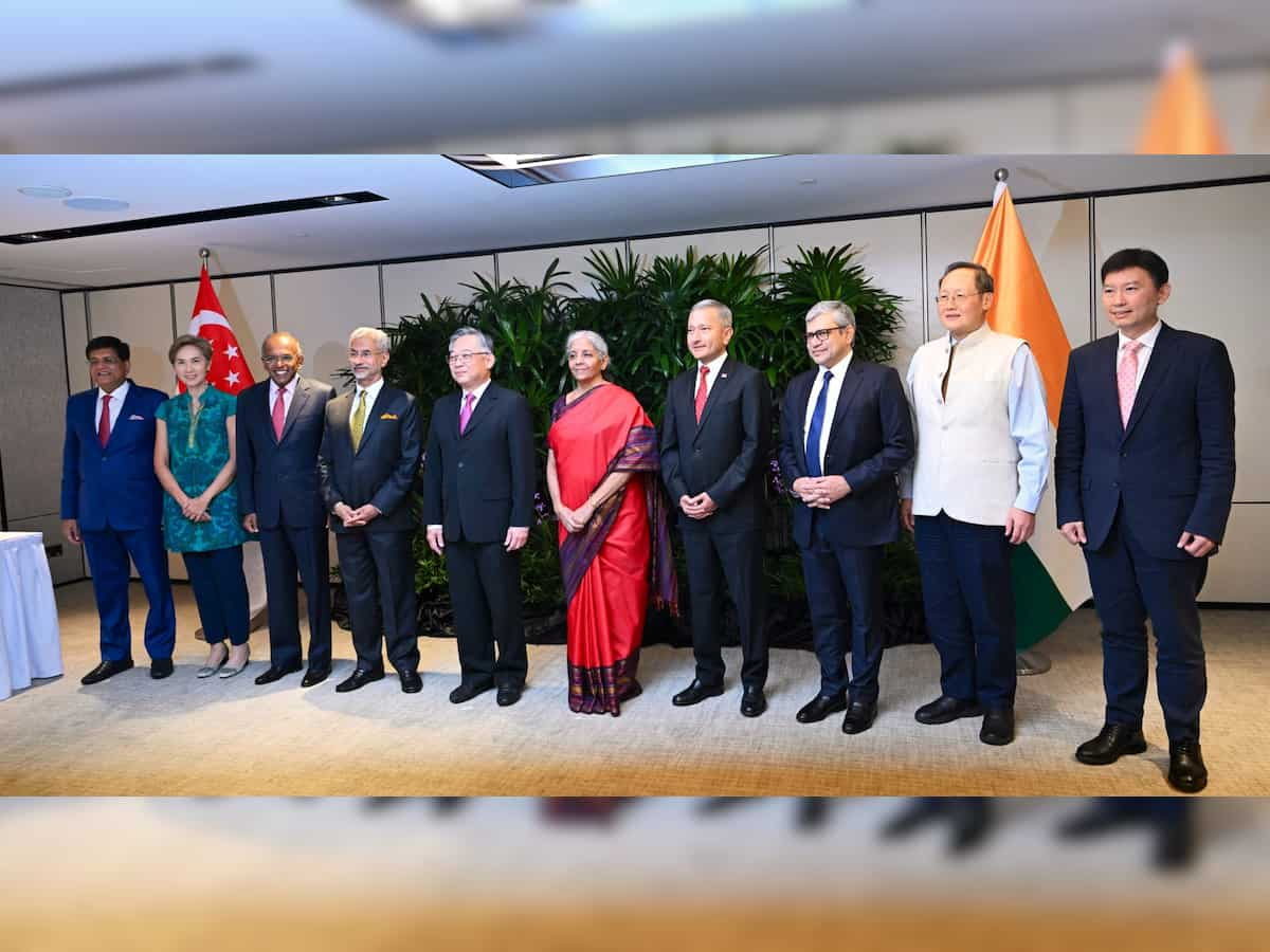 Finance Minister-led inter-ministerial panel meets Singapore President, discusses boosting ties