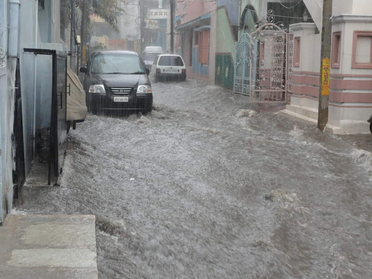 Vishwamitri river crosses danger mark in Vadodara, 3,000 people moved to safer places