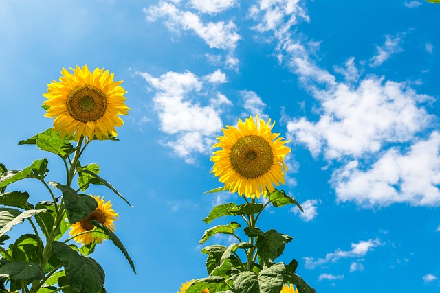 Delhi records minimum temperature at 25.4 degrees Celsius