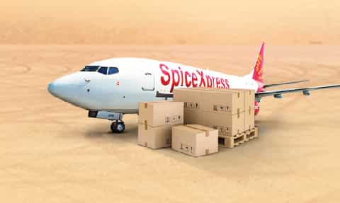 SpiceJet to expand fleet ahead of peak travel season; inducting 10 new aircraft: Sources