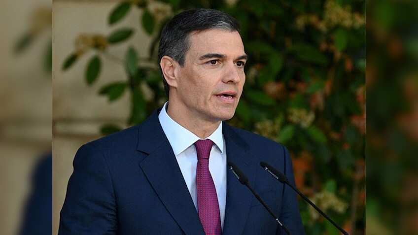 Spain, Palestine will hold first summit this year: PM Sanchez