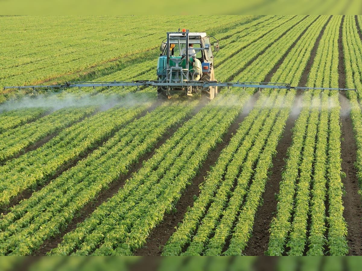 Controlling chemical contamination in agricultural raw materials must: FSSAI