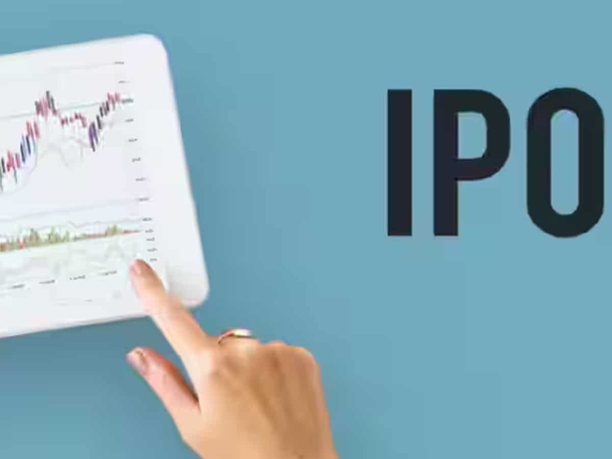 PN Gadgil IPO: Lot size