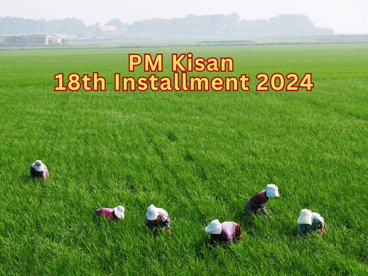 PM Kisan 18th installment: Why Rs 2,000 installment may not be credited to your bank account; here's what to do