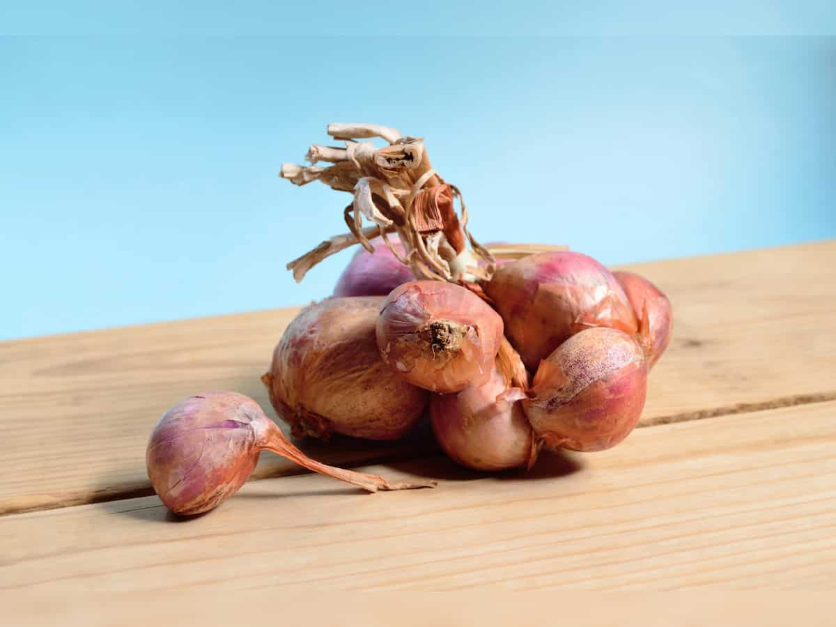 $550/tonne minimum export price removed on onions