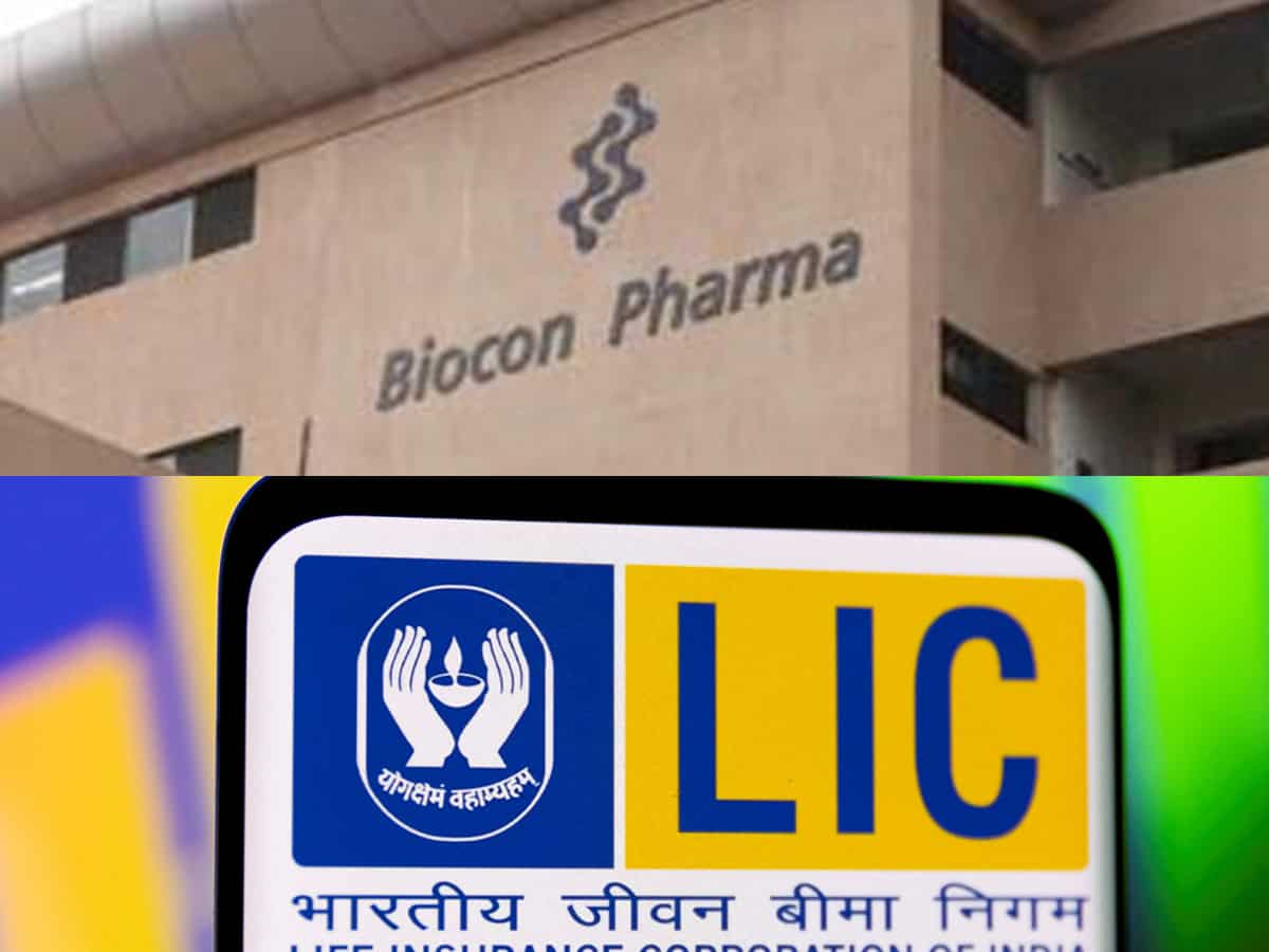 LIC picks additional stake in Biocon; stocks mixed