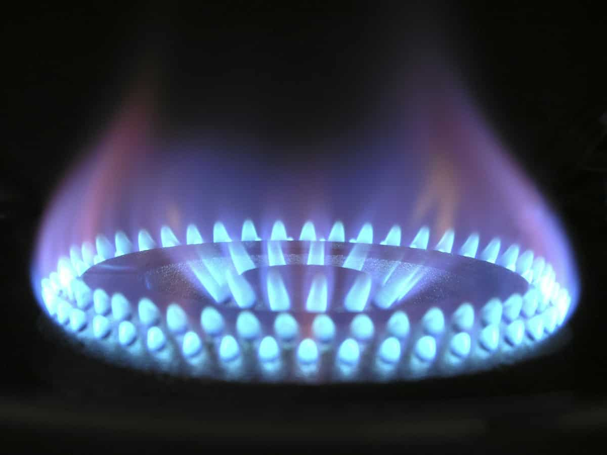 LPG Rate Today: Commercial cooking gas becomes more expensive as India prepares for festive season 