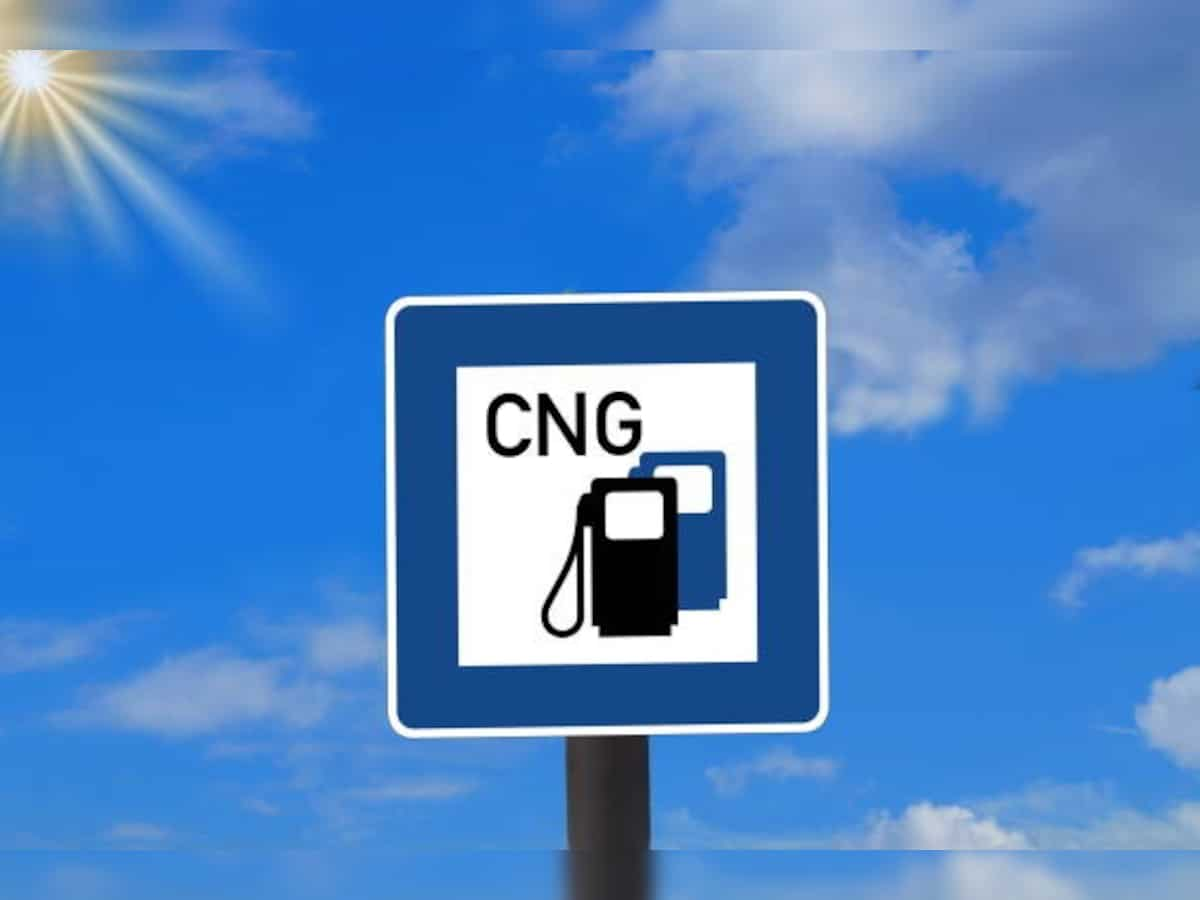 Gas price for Reliance hiked to $10.16; CNG, piped cooking gas rates unchanged