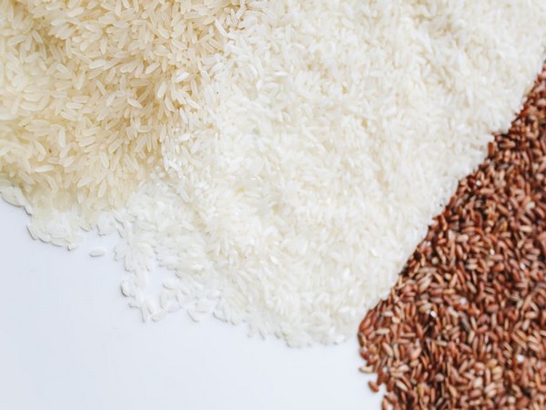 India: Ease in rice export restrictions lending support