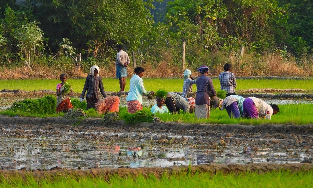 Impact on Agriculture and irrigation sector