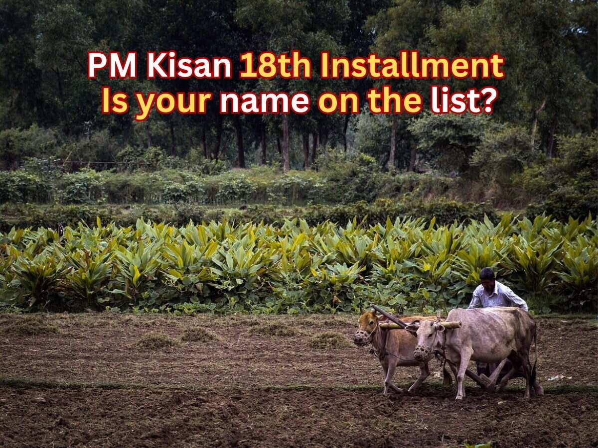 PM Kisan 18th installment to be released today, check if your name is on the list