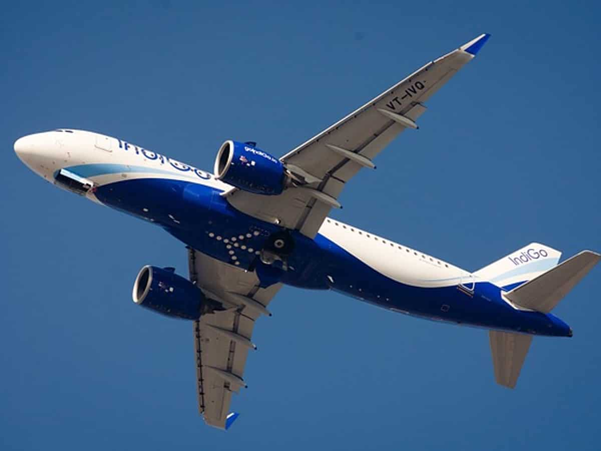 IndiGo suffers major technical glitch, fliers stranded across nation