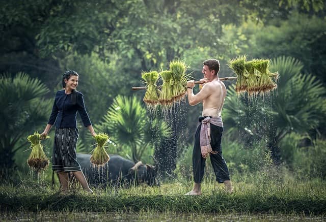 PM Kisan Yojana 18th installment: Here's all you need to know about the scheme