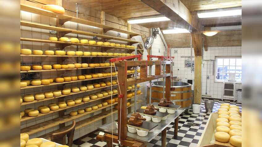 Britannia and Bel Foods opens local cheese manufacturing plant in India