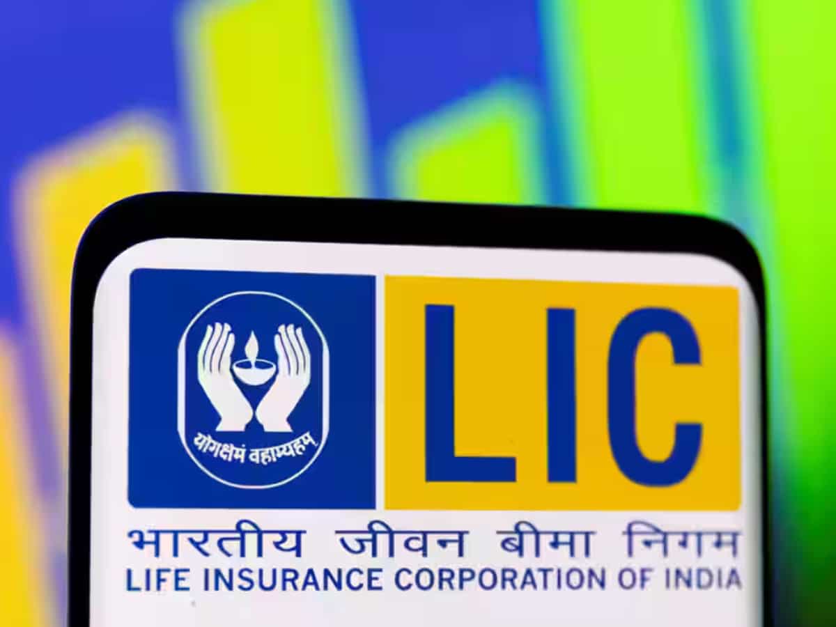 LIC now the second largest IPO by issue size 