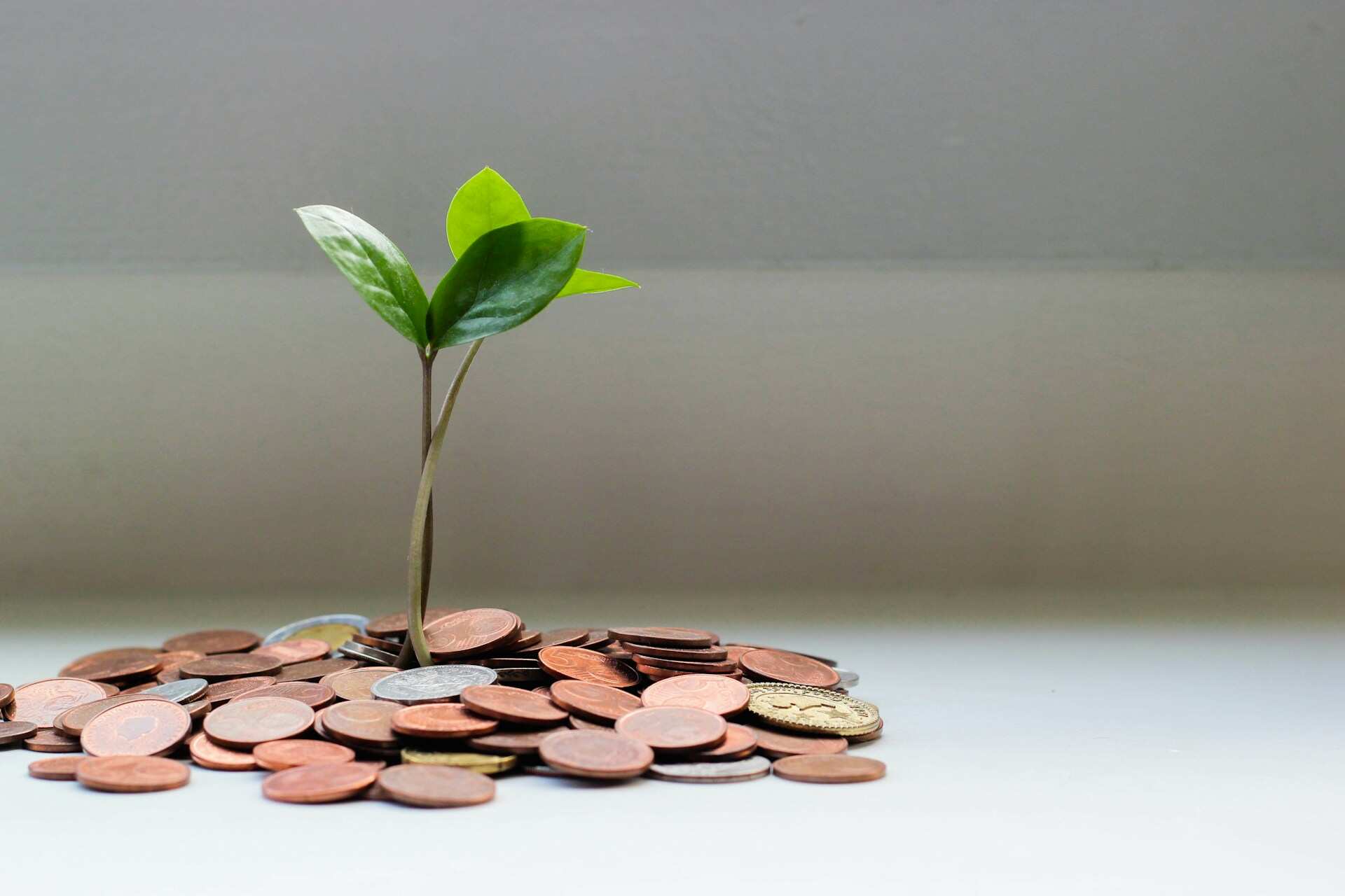 UTI, Tata Pension and other NPS Tier I pension equity funds that have given up to 42.50% CAGR in 1 year