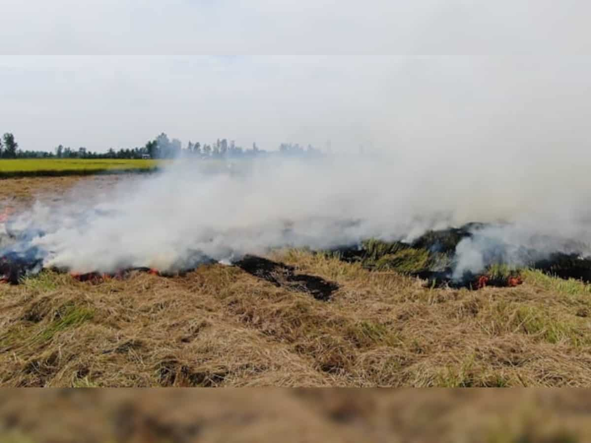 Stubble burning: CAQM empowers DMs to take legal action against lax officials