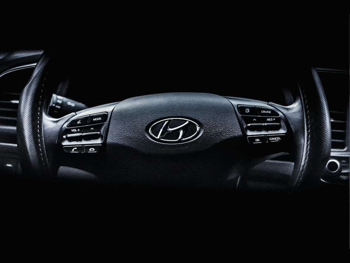 Ahead of mega IPO, Hyundai Motor India mobilises Rs 8,315 crore from anchor investors